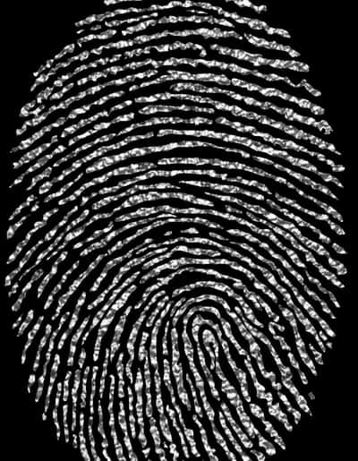 The Human Credential: Biometrics Use in the Security Industry